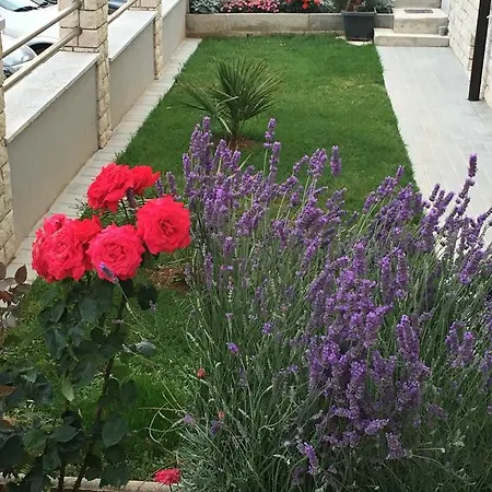 Palma