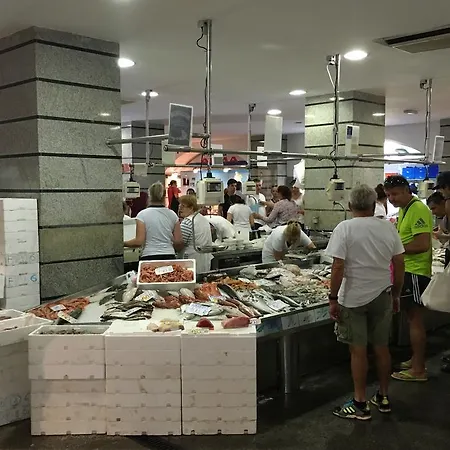 Palma Apartamento